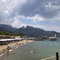 фото из отзыва ID 2730893