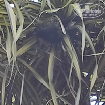 фото из отзыва ID 2730898