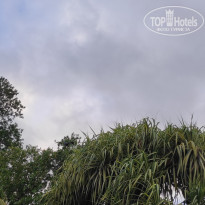 фото из отзыва ID 2730898