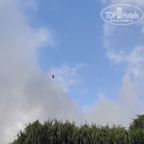 фото из отзыва ID 2730898