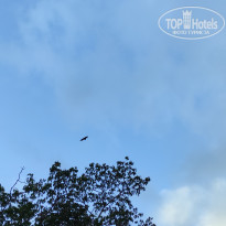 фото из отзыва ID 2730898