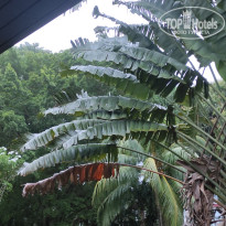 фото из отзыва ID 2730898