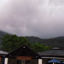 фото из отзыва ID 2730898