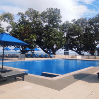 фото из отзыва ID 2730898