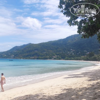 фото из отзыва ID 2730898