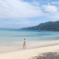 фото из отзыва ID 2730898