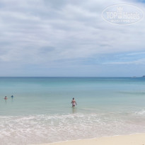 фото из отзыва ID 2730898