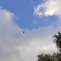 фото из отзыва ID 2730898