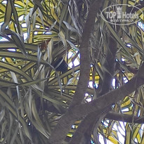 фото из отзыва ID 2730898