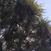 фото из отзыва ID 2730898