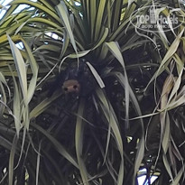 фото из отзыва ID 2730898