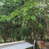 фото из отзыва ID 2730902