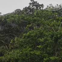 фото из отзыва ID 2730902