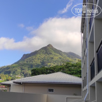 фото из отзыва ID 2730902