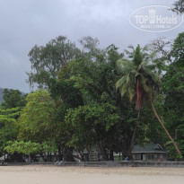 фото из отзыва ID 2730902