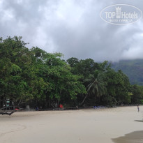 фото из отзыва ID 2730902