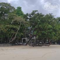 фото из отзыва ID 2730902