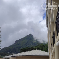 фото из отзыва ID 2730902