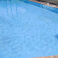 фото из отзыва ID 2730904