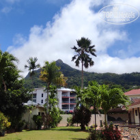 фото из отзыва ID 2730904