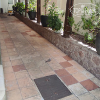 фото из отзыва ID 2730904