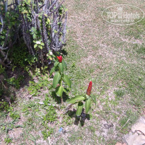 фото из отзыва ID 2730904