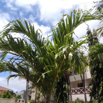 фото из отзыва ID 2730904