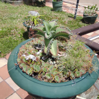 фото из отзыва ID 2730904