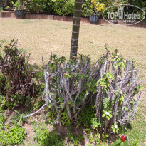 фото из отзыва ID 2730904