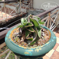 фото из отзыва ID 2730904