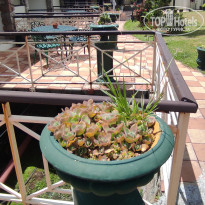 фото из отзыва ID 2730904