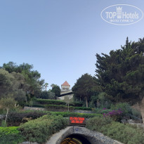 фото из отзыва ID 2730910