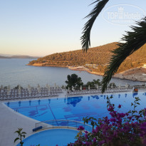 фото из отзыва ID 2730910