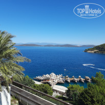 фото из отзыва ID 2730910