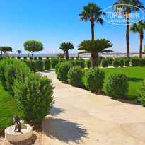 фото из отзыва ID 2730920