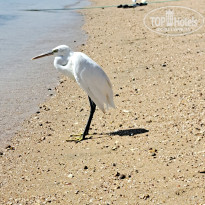 фото из отзыва ID 2730920