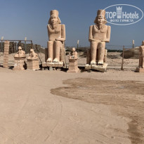 фото из отзыва ID 2730851