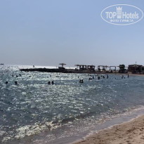 фото из отзыва ID 2730851