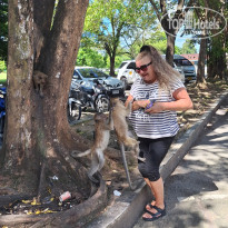 фото из отзыва ID 2730325