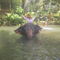 фото из отзыва ID 2730325