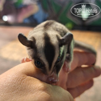 фото из отзыва ID 2730325