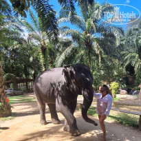 фото из отзыва ID 2730325