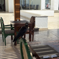 фото из отзыва ID 2730934