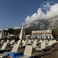 фото из отзыва ID 2730943