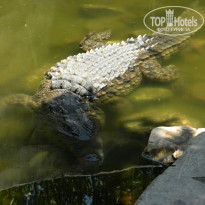 фото из отзыва ID 2730940