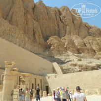 фото из отзыва ID 2730940