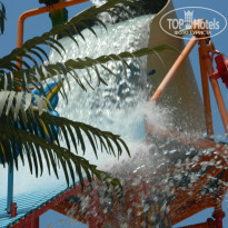 фото из отзыва ID 2730940