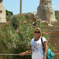 фото из отзыва ID 2730940