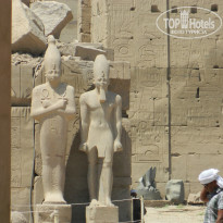 фото из отзыва ID 2730940