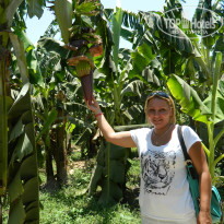 фото из отзыва ID 2730940